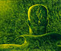 Seed of Truth, #2