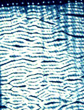 shibori, indigo shibori, mokume shibori, woodgrain shibori, indigo shibori indigo aizome shibori technique shibori pattern  shiborizome, japanese shibori, traditional shibori, shibori textiles, shibori design, indigo dyeing