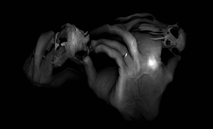 Vanitas 24