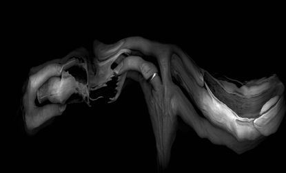 Vanitas 26